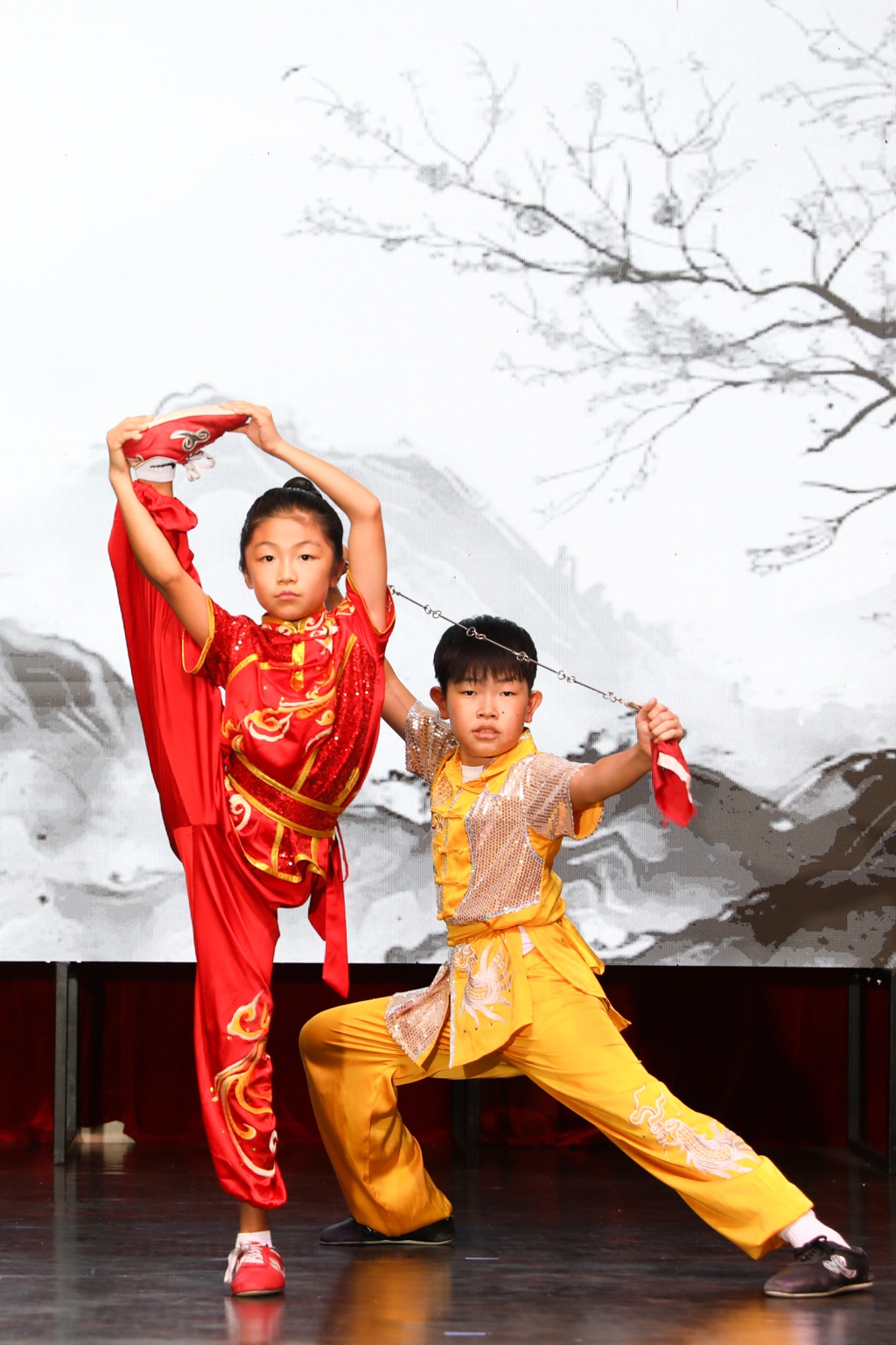 Youth martial arts