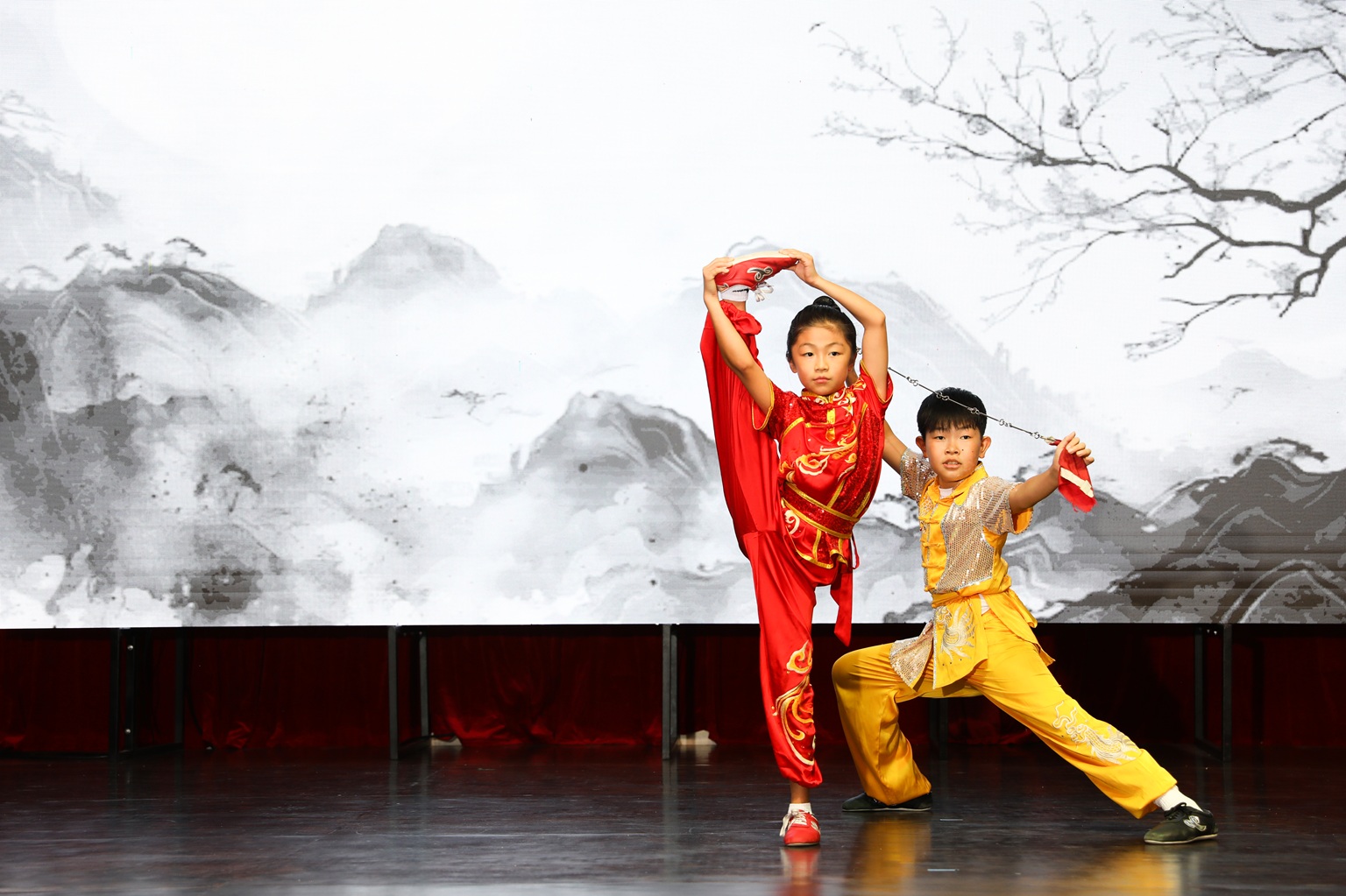 Youth martial arts